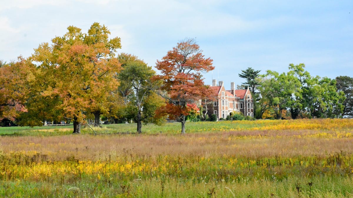 New Canaan Unplugged